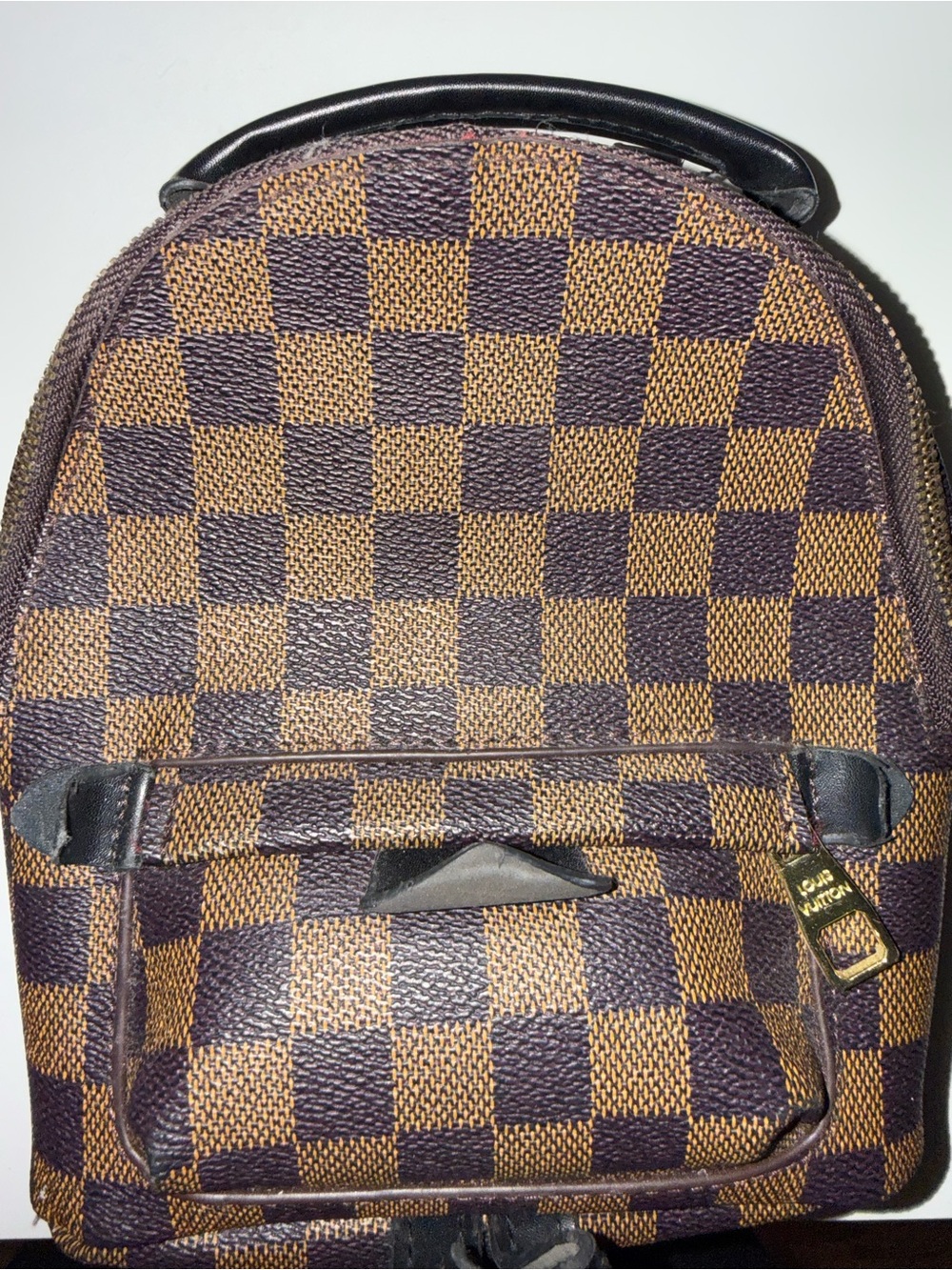 Brown Checkered Men’s Backpack - Classic Canvas Look(without straps)